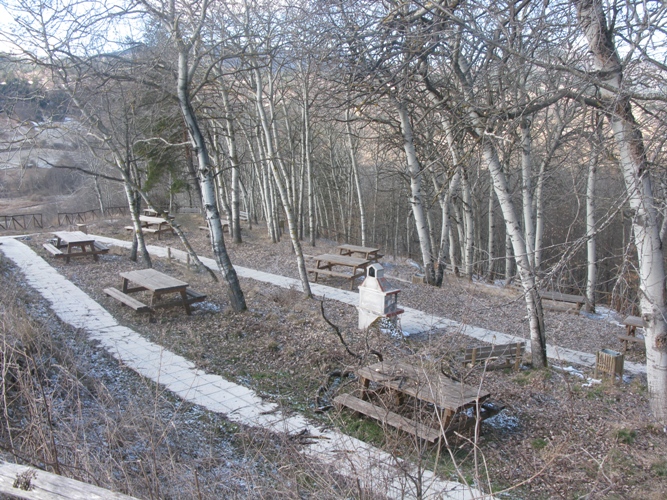 IMG_4879.JPG