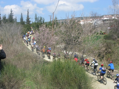 IMG_4898.JPG