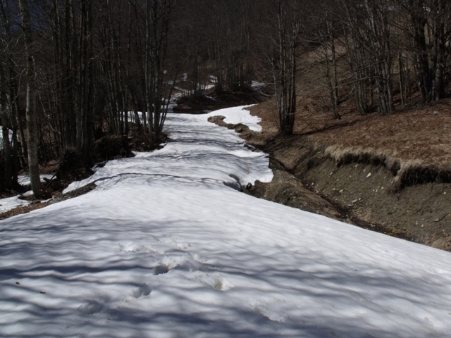 DSCF3735to.JPG