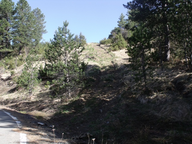 DSCF3712to.JPG