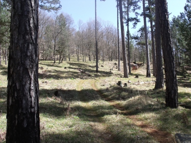 DSCF3754to.JPG
