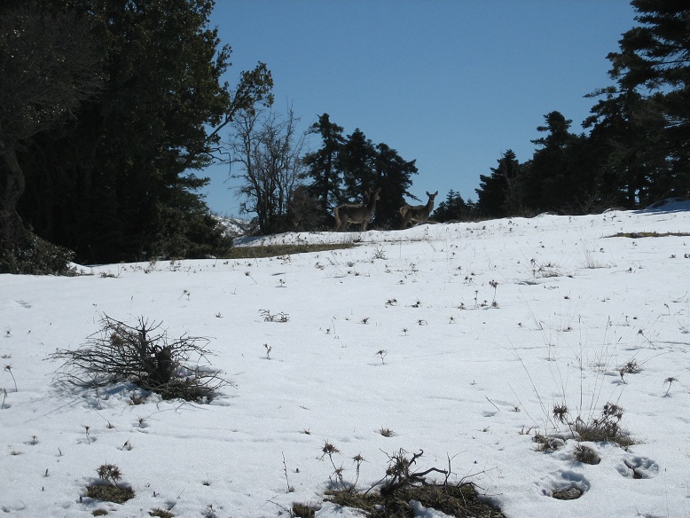IMG_1228.JPG