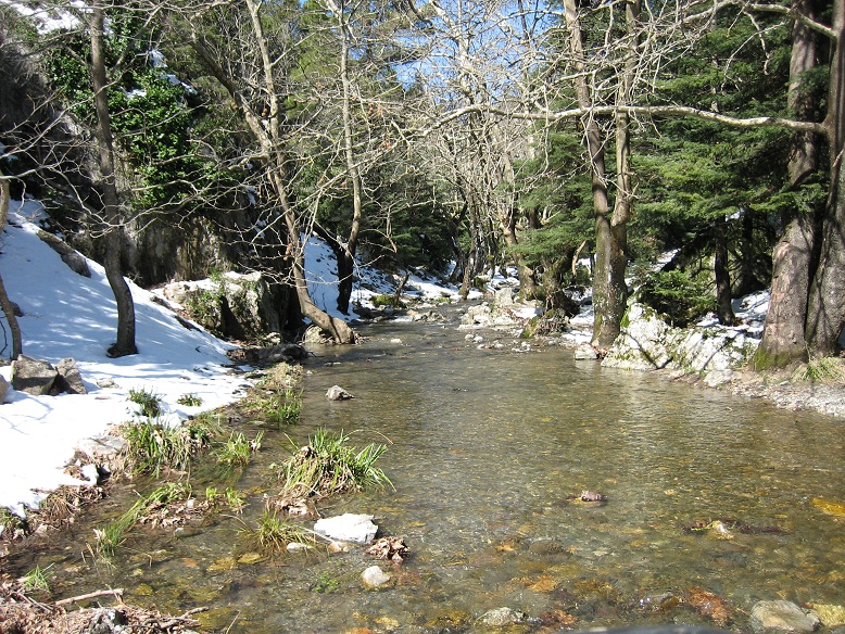 IMG_1234.JPG