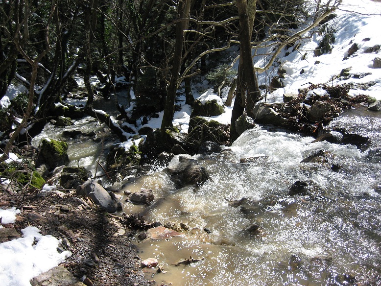 IMG_1235.JPG