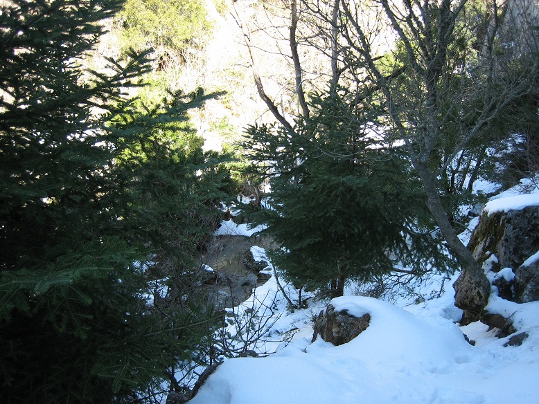 IMG_1241.JPG