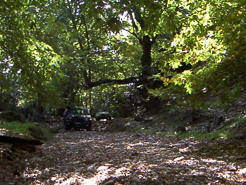 056foloi0902.jpg