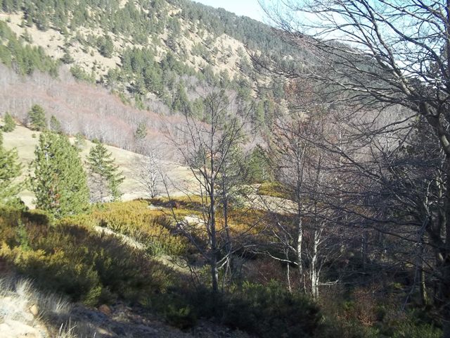 100_0806TO.JPG