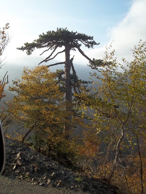 100_0841to.JPG