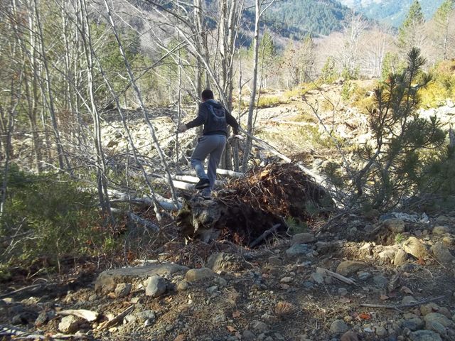 100_0824to.JPG
