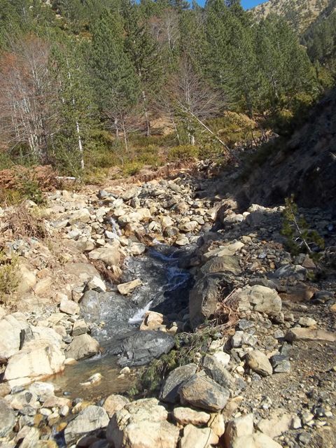 100_0815to.JPG