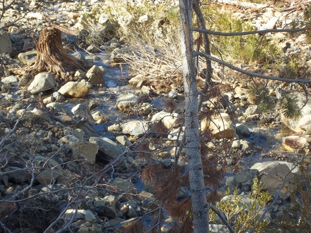 100_0813to.JPG