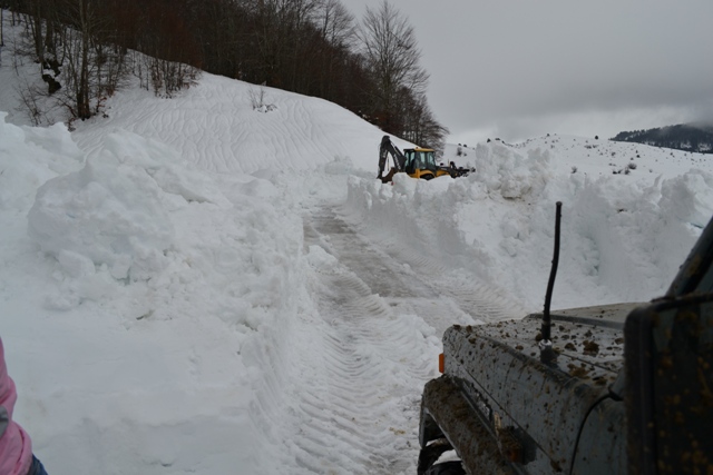 DSC_0939VNB.JPG