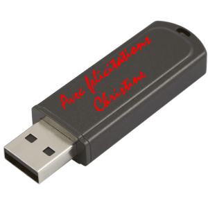 flash-drive-icon.gif