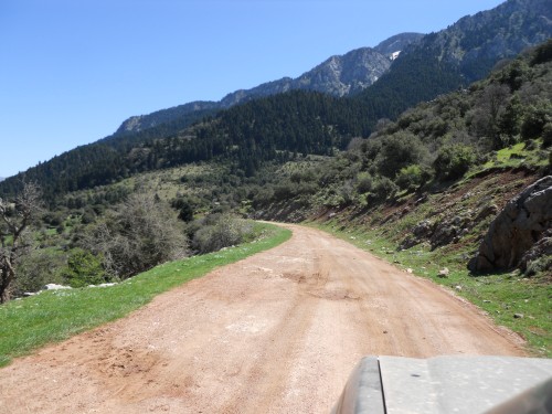 rally greece kalavryta 005 (500 x 375).jpg