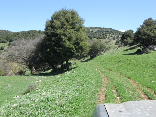 rally greece kalavryta 012 (500 x 375).jpg
