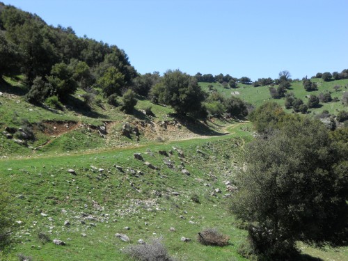 rally greece kalavryta 015 (500 x 375).jpg