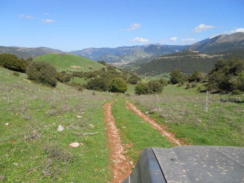 rally greece kalavryta 018 (500 x 375).jpg