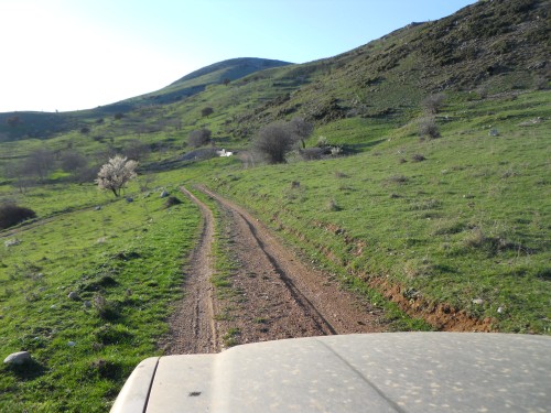 rally greece kalavryta 022 (500 x 375).jpg