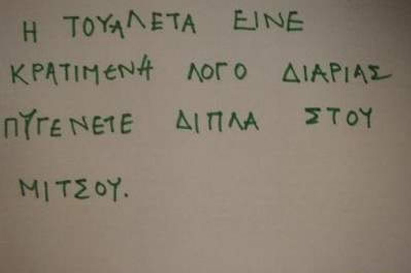 diaria.jpg