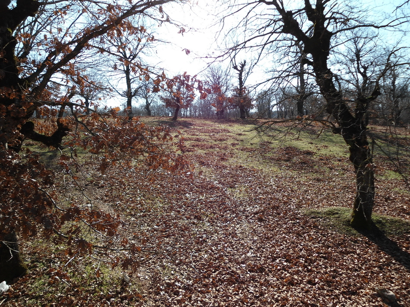 sc00061.JPG
