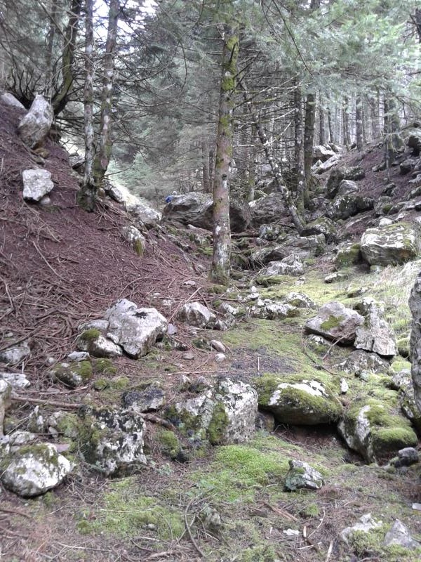20140502_180241.jpg