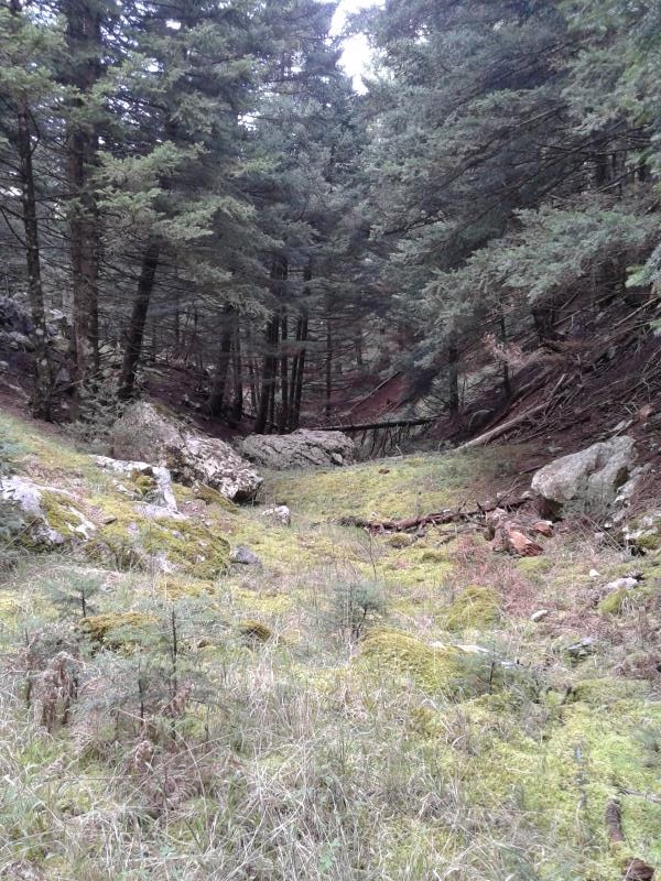 20140502_180322.jpg