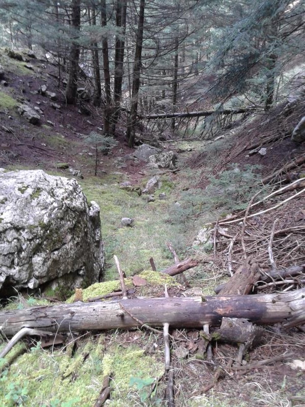 20140502_180350.jpg