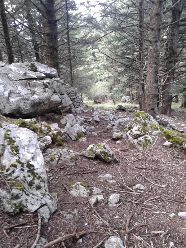 20140502_180525.jpg
