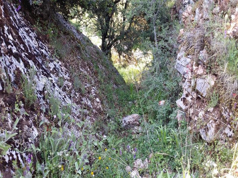 20140522_181630.jpg