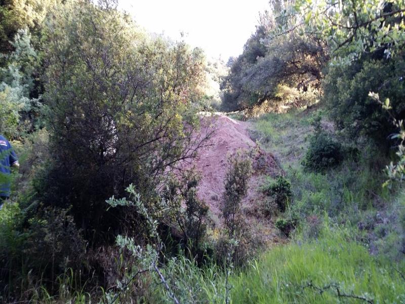 20140522_184633.jpg