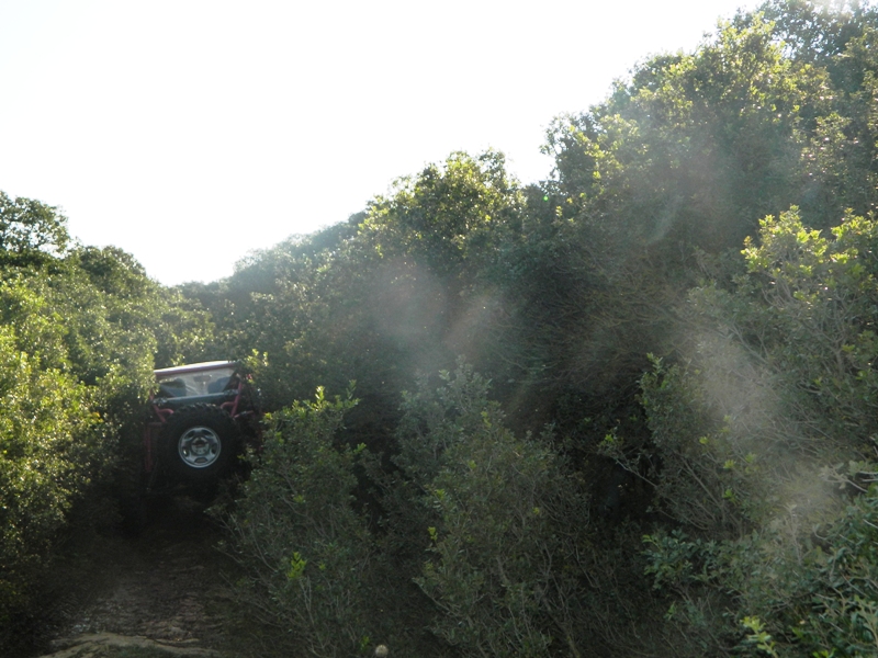 DSCN6644.JPG