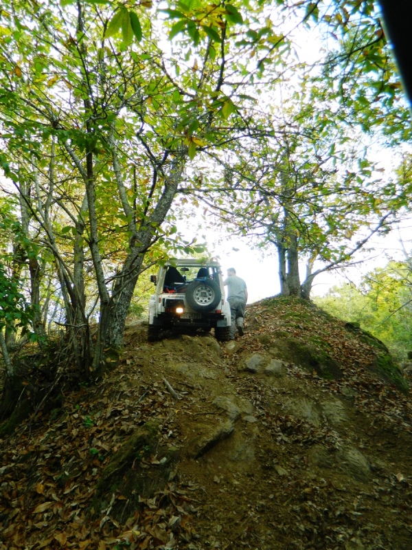 DSCN6874.JPG