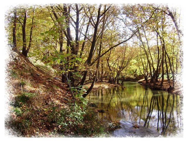 2009 11 041.jpg