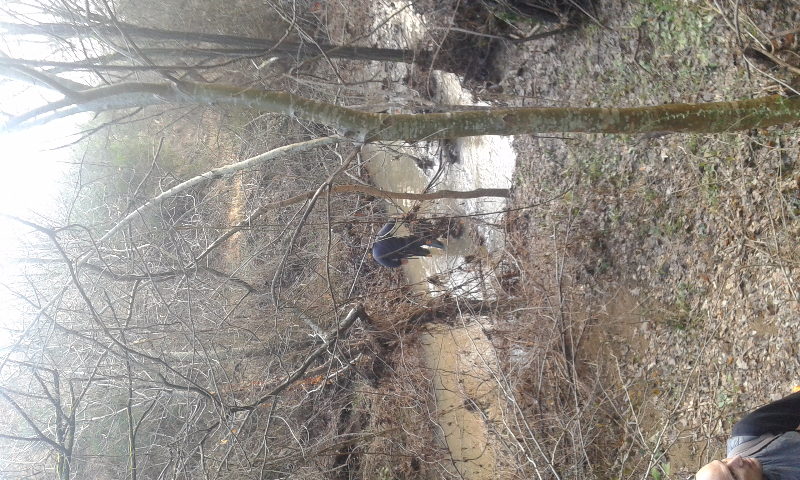 20160214_095750.jpg