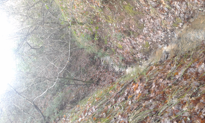 20160214_102246.jpg