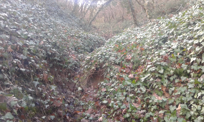20160214_134607.jpg