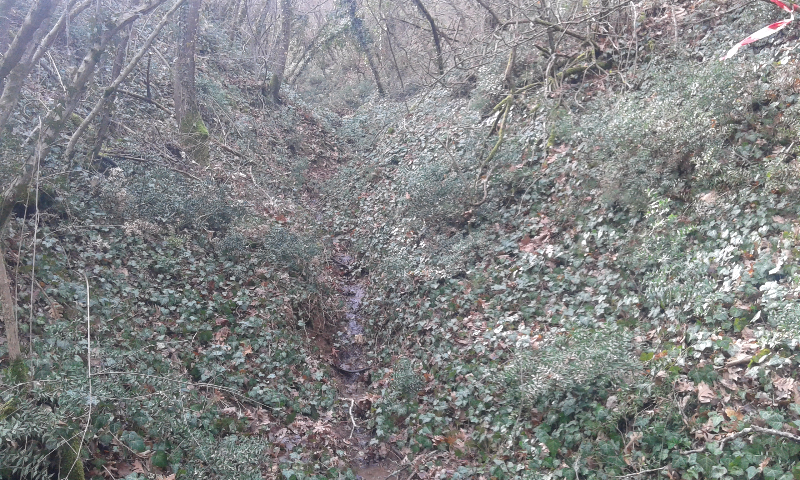 20160214_135033.jpg