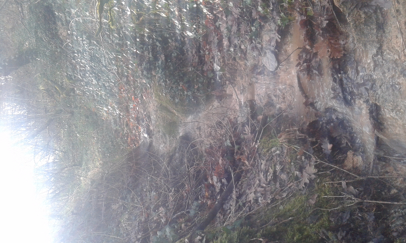 20160214_140019.jpg