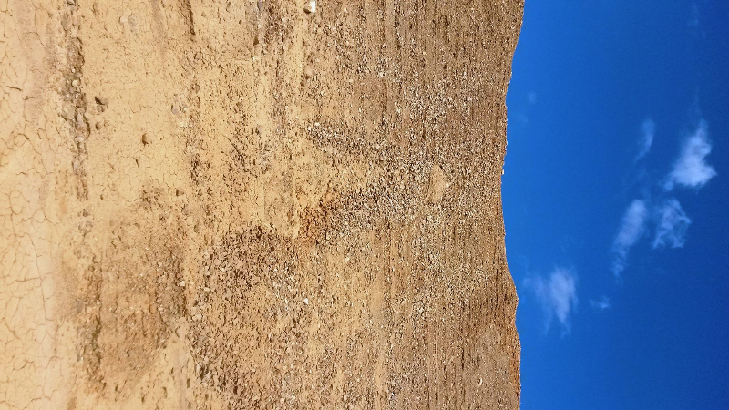14285207_1256613137702973_583442354_o.jpg