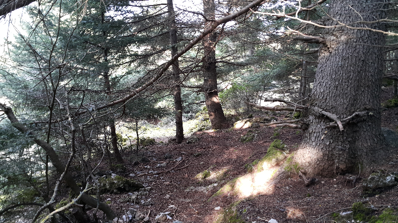 20170316_162820.jpg