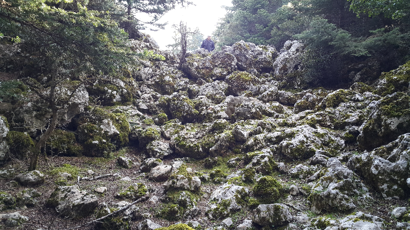 20170316_162800.jpg