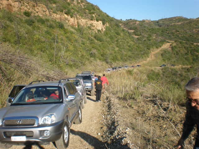 PA240597.jpg