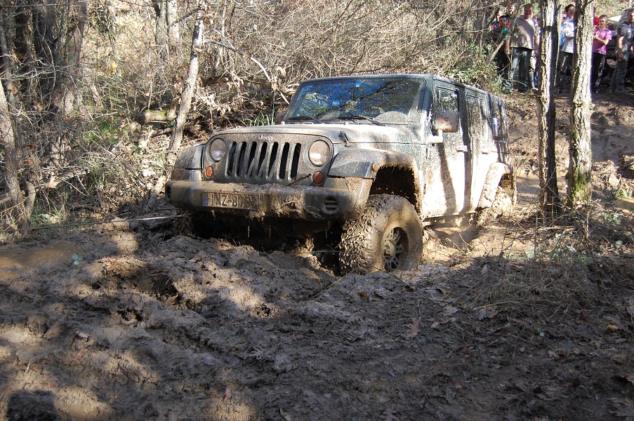 DSC_0402.JPG