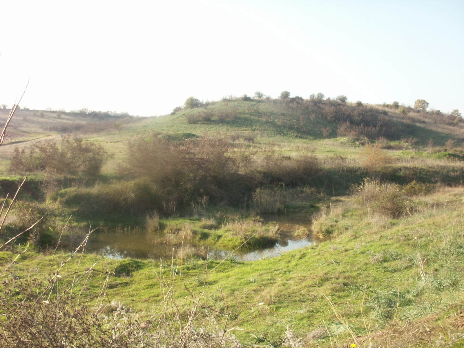 PICT0233.JPG